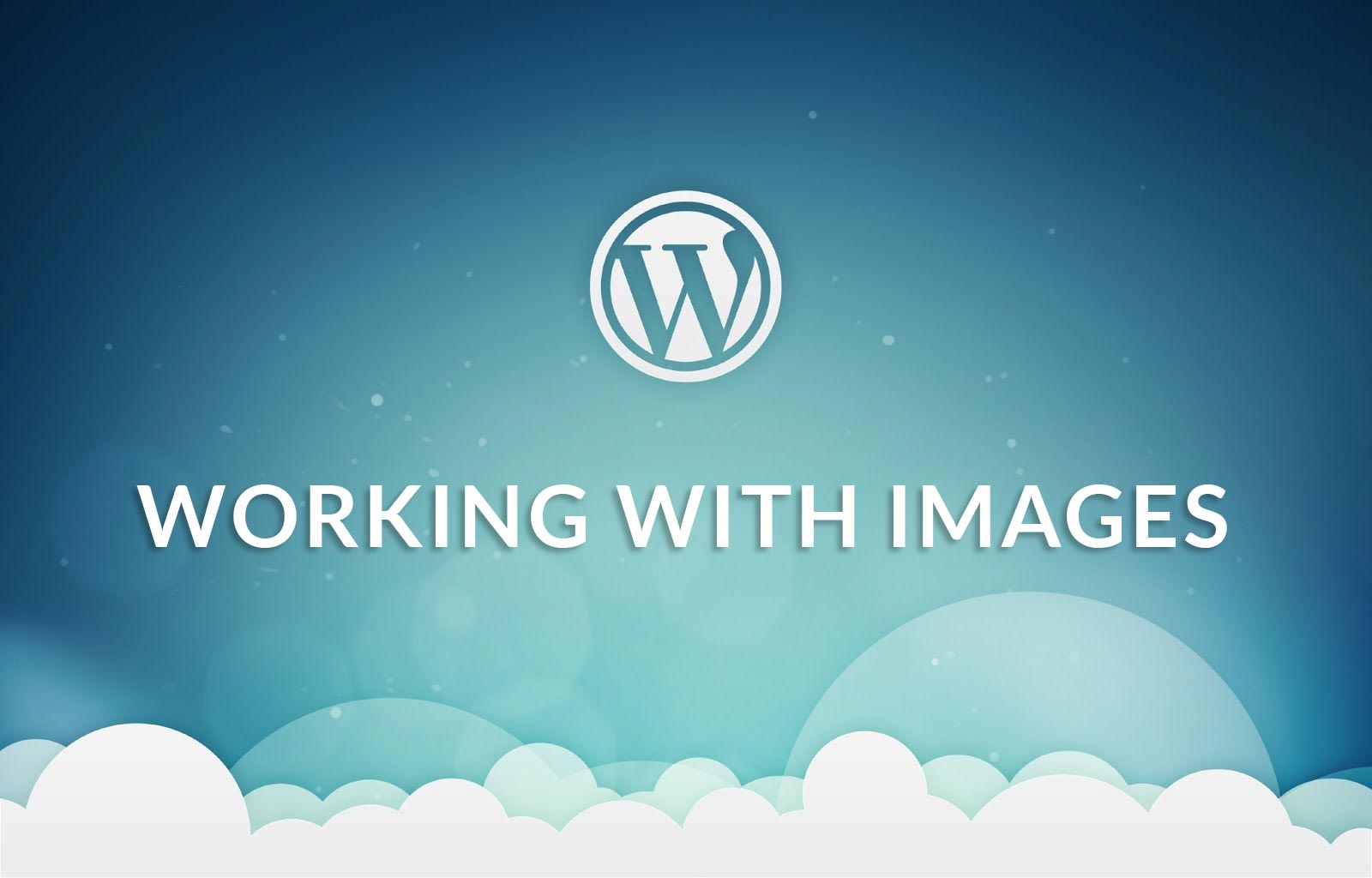 Learn how to work with WordPress Images