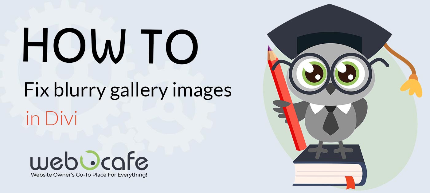 Fix blurry Divi gallery images